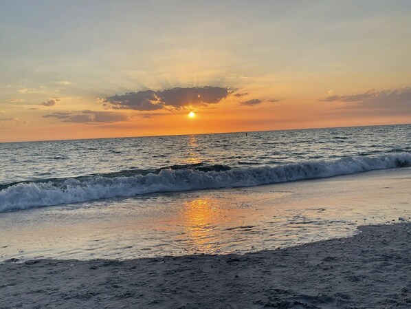 Plage à proximité, chaises longues, serviettes de plage