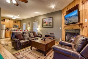 Smart TV, fireplace, books, video library