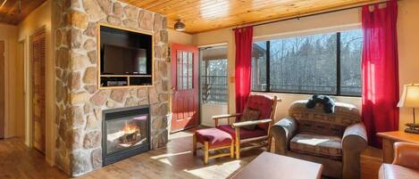TV, fireplace