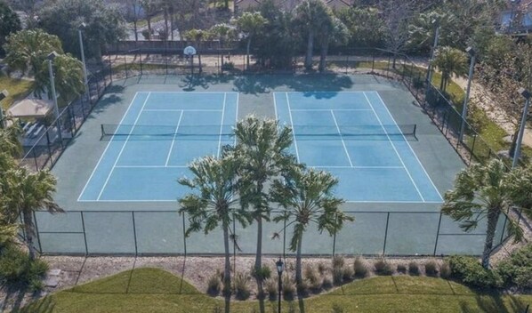 A tennis court with a net, surrounded by palm trees and a fence.