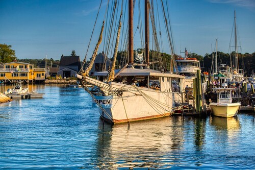 Dog-Friendly Home w/Fireplace, Prime In-Town Location - Walk Everywhere