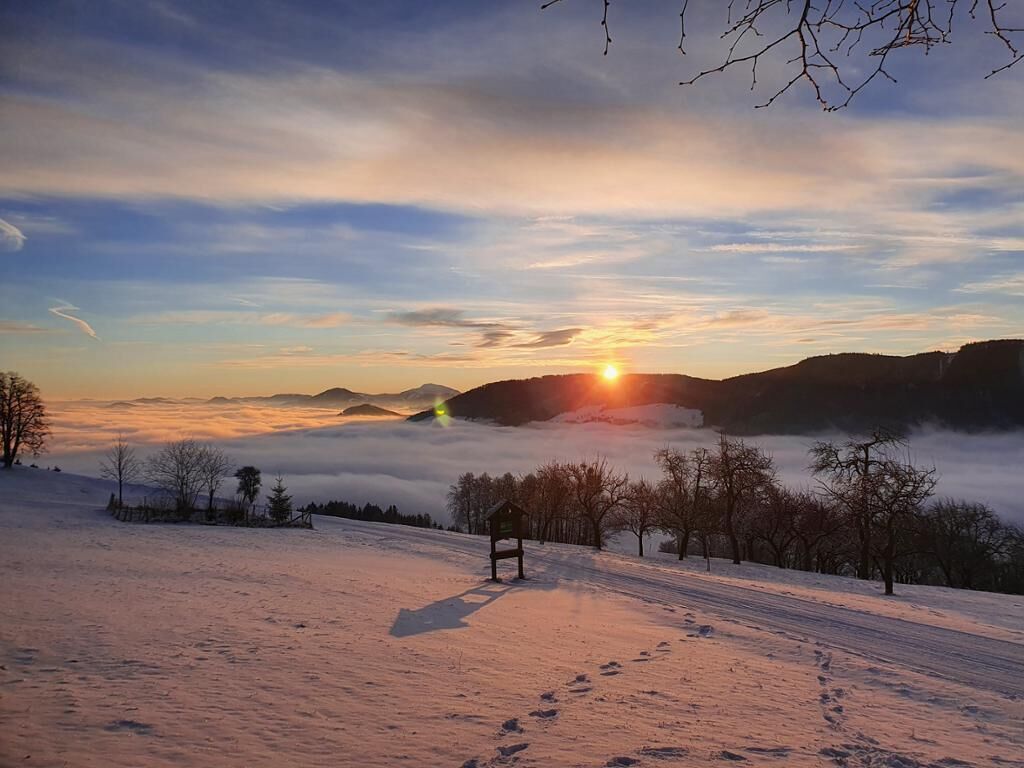 Mitterhirschberg, Familie Schweighuber (Waidhofen an der Ybbs)-Tolle Morgenstimmung