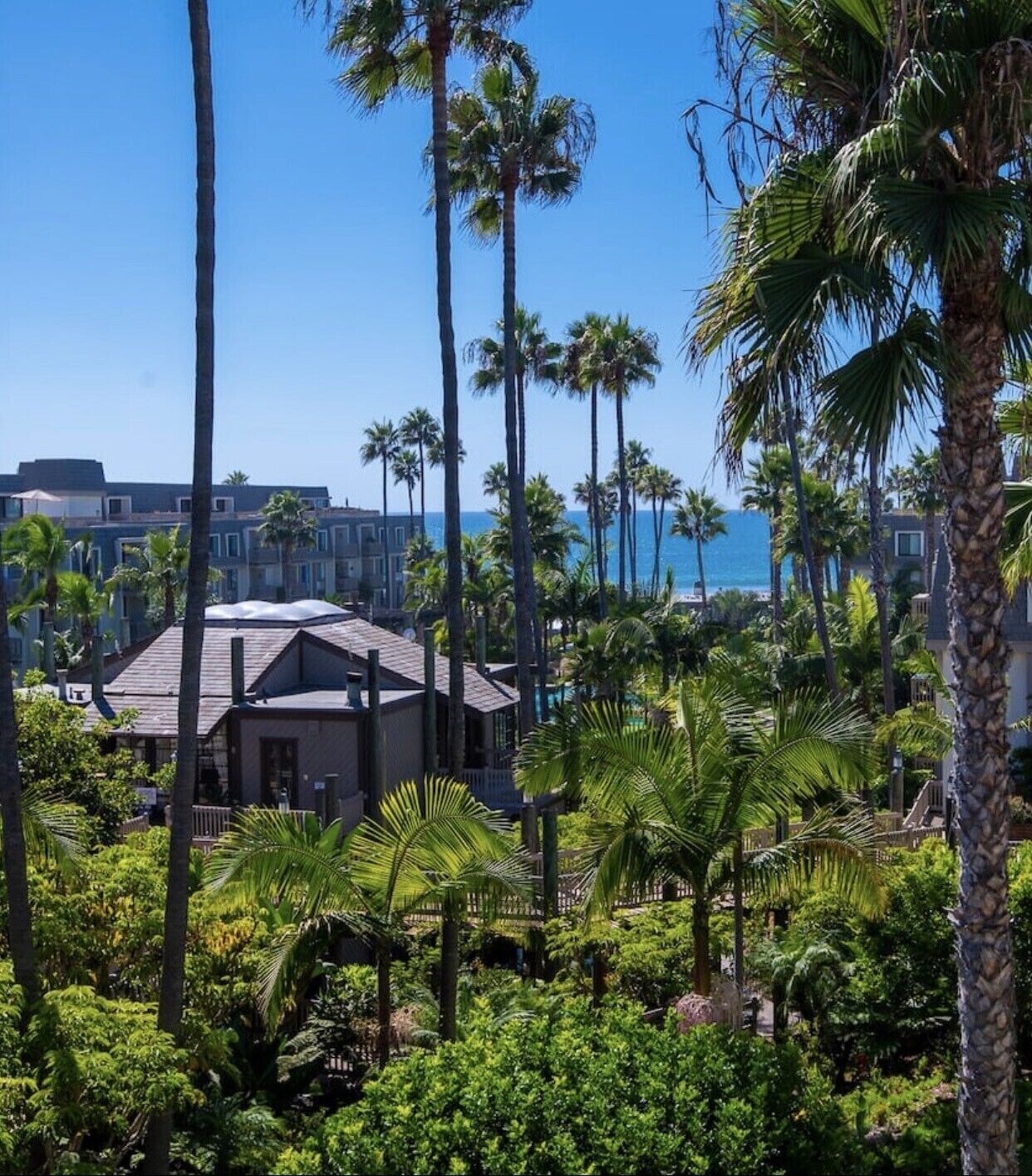 Ocean Views from Patio on the Pacific!