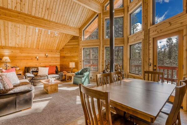 TV, fireplace, books