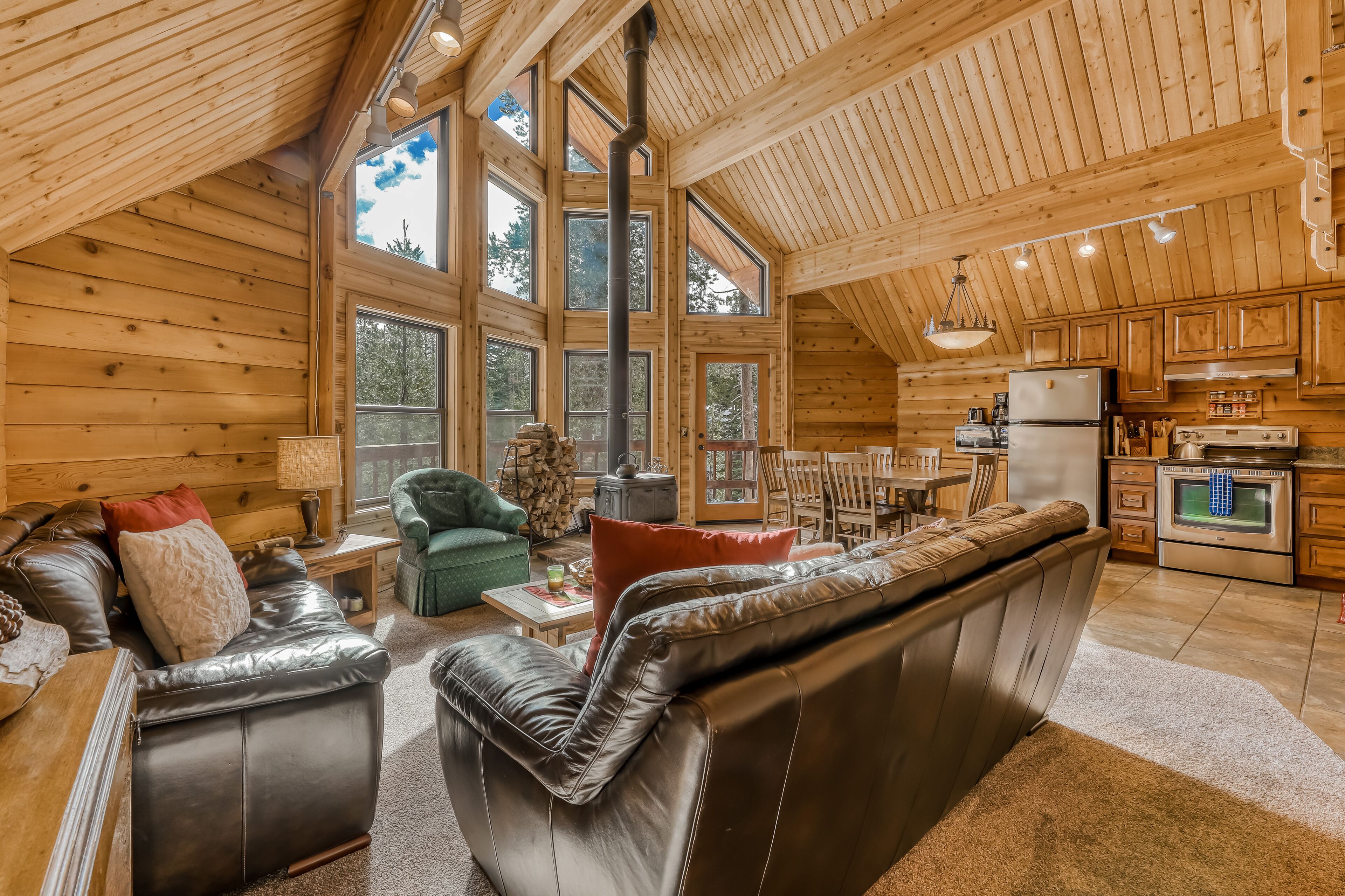 TV, fireplace, books