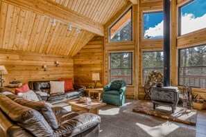 TV, fireplace, books