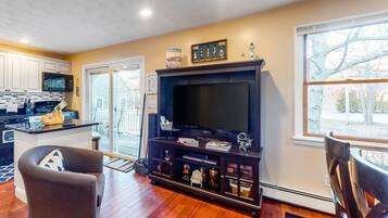 TV, video games, DVD player, books