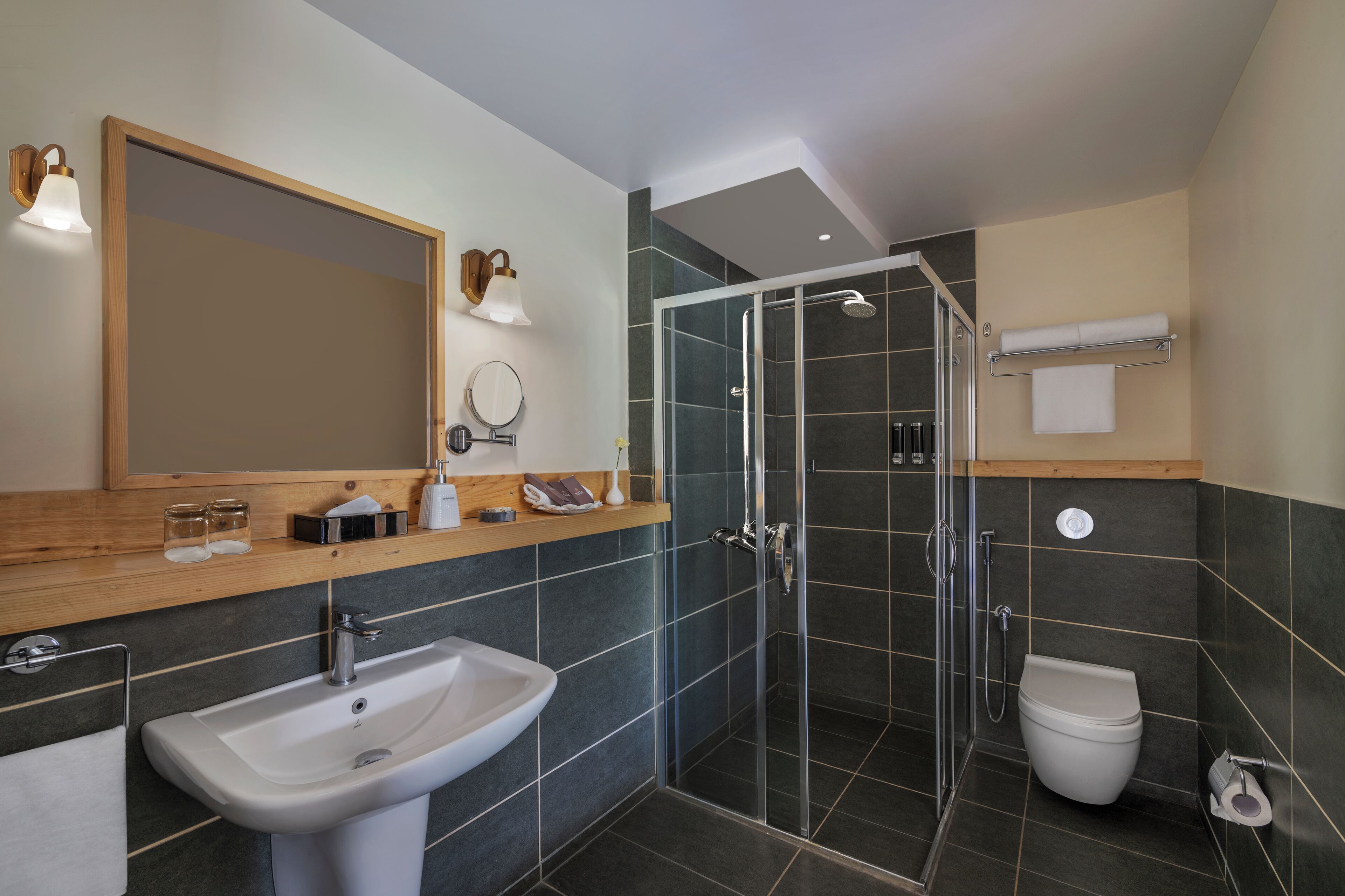 A modern bathroom with a sink, mirror, shower, and toilet.
