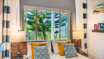 TV, libri, biblioteca musicale, videoteca