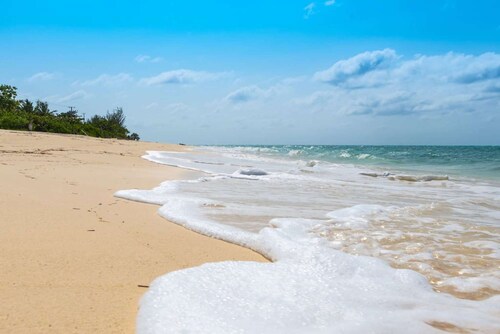 Oceanfront Lemon Cottage