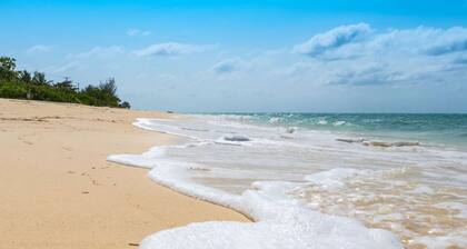 Oceanfront Lemon Cottage