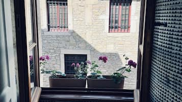 Uitzicht vanuit een raam op een gebouw van steen met een pannendak, een radiator en bloembeklende plantenpotten.
