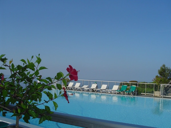 En pool med liggestole og en hibiscusblomst i forgrunden.