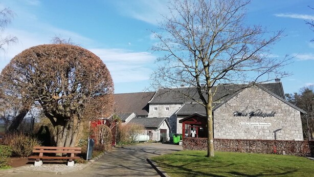 Eksteriør