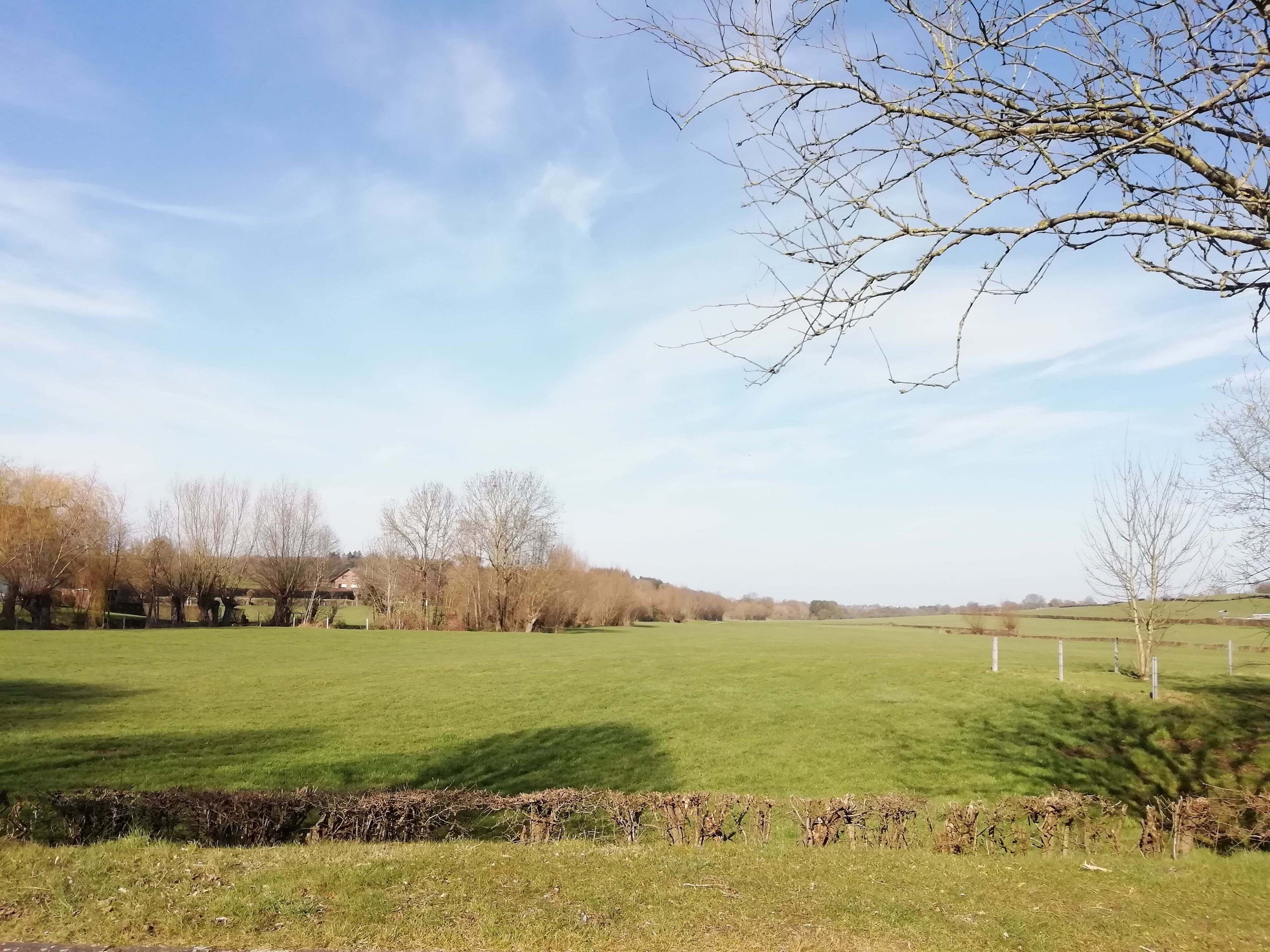 A rural landscape with a green field, trees, and a clear sky.