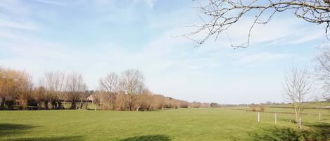 A rural landscape with a green field, trees, and a clear sky.