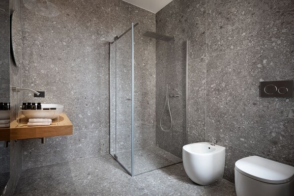 Shower, hair dryer, bidet, towels
