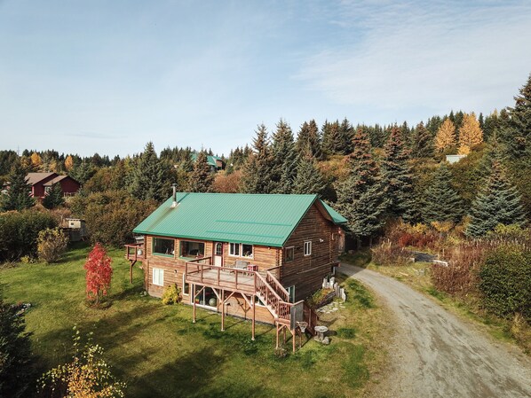Une cabane en bois avec un toit vert, entourée d’une zone boisée et bordée d’un sentier de terre.