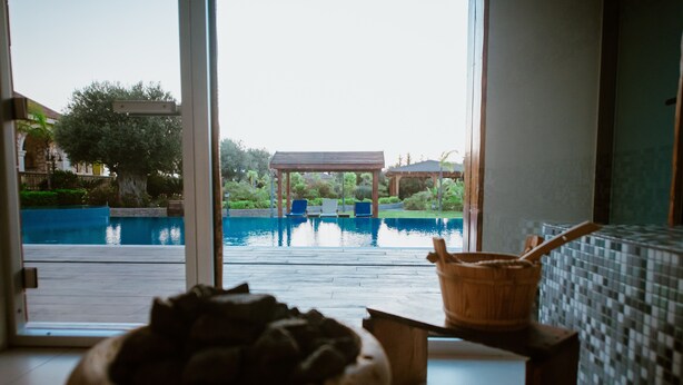 Vista de una piscina con un pabellón y sillas de descanso, un cuenco de madera con comida y una pared de azulejos.