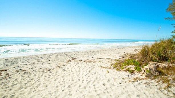 A sandy beach with waves, clear sky, and sparse vegetation.