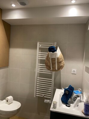 Regadera, secadora de cabello, toallas, jabón 