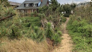 A house surrounded by dense vegetation and a dirt path leading to it. - Manor and Mutts #2 - Beach Front, Pet Friendly, Wi-Fi, Parking, W/D, King Bed (Norfolk)