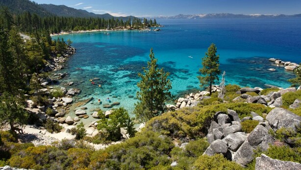 A coastal landscape with clear turquoise waters, rocky shores, and dense pine forests.