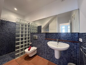 Shower, hair dryer, towels