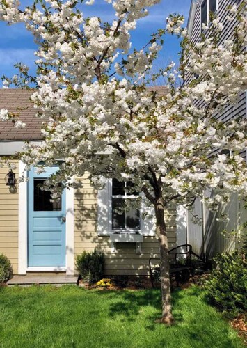 5 Min Walk to Town, Patio, Yard, AC!