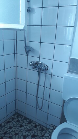 Apartment | Bathroom | Shower, hair dryer, towels