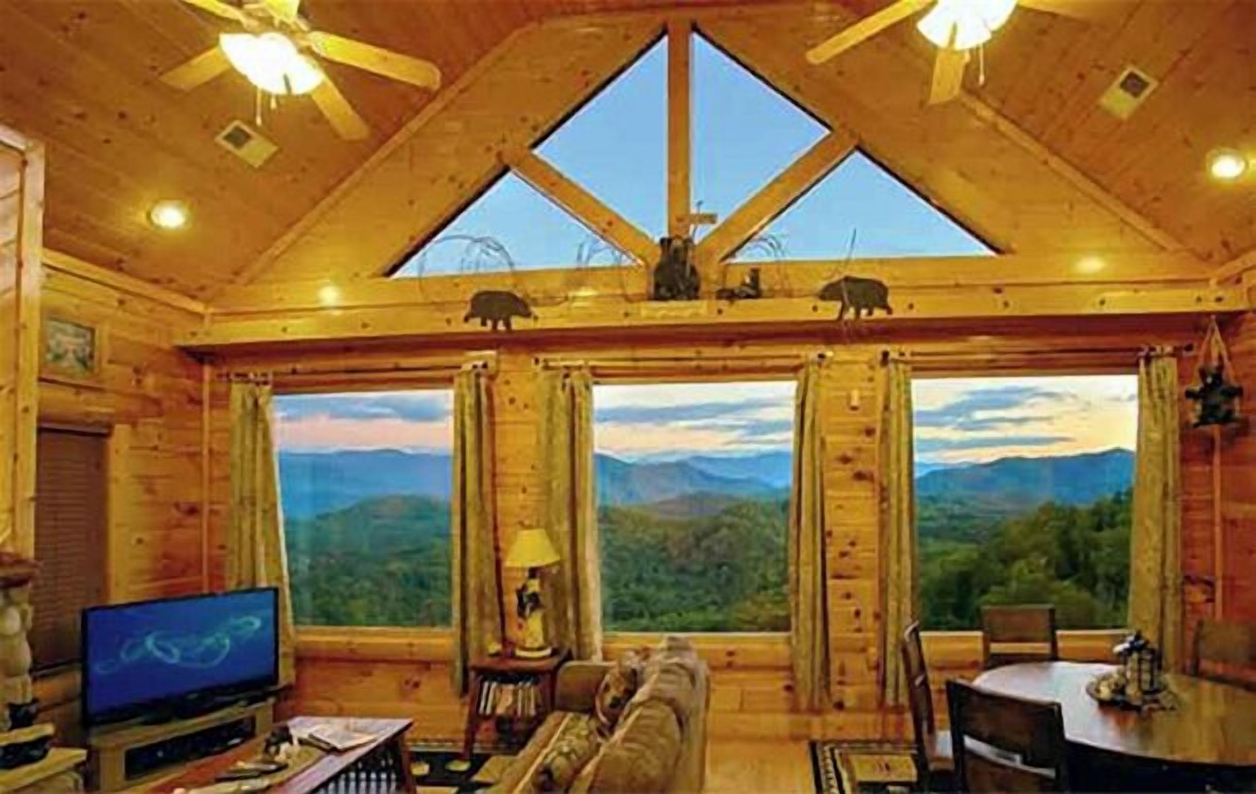 TV, fireplace, video games, DVD player