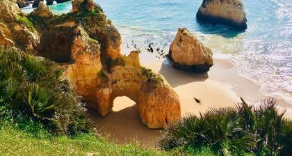 Fantástica Casa com 4 Quartos na Prainha