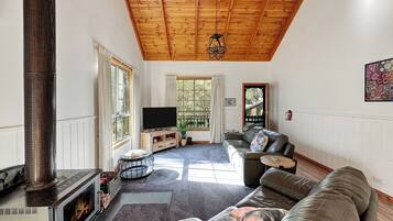 Smart TV, chimenea, libros y servicios de streaming