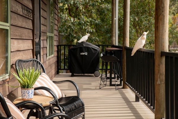 Unwind on the deck with scenic views, grill, and relax for a delightful experience.