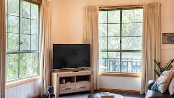 Smart-TV, Kamin, Bücher, Streaming-Dienste