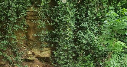 Admiral Fuqua House - Large downtown Hannibal Home