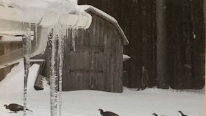 A wooden barn with snow on the roof and icicles hanging from it. - The Quiet Spot Cabin (Naples)