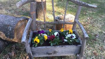 Áreas de la propiedad