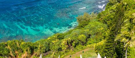 A resort with a view of the ocean and lush greenery.