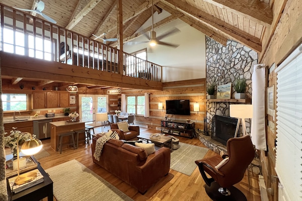 Televisión, chimenea y reproductor de DVD