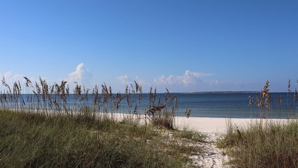A beach with sand and tall grasses in the foreground, leading to a calm sea under a clear sky. - PETE'S PARADISE IS MODERN, SPACIOUS FLOOR PLAN! GREAT FENCED IN BACKYARD WITH FIREPIT, PET FRIENDLY! (Port Saint Joe)
