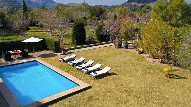 Una piscina rectangular con tumbonas alineadas a lo largo, rodeada de césped cuidado y árboles.