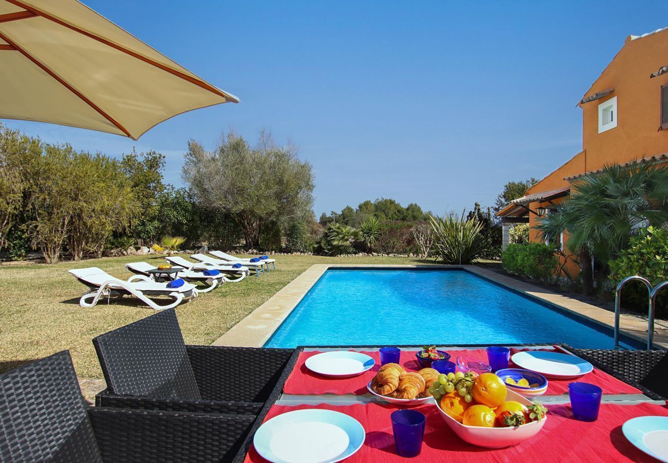 Zona junto a la piscina con sillones, mesa de comedor con platos, tazones y vasos, y una piscina azul cristalina.