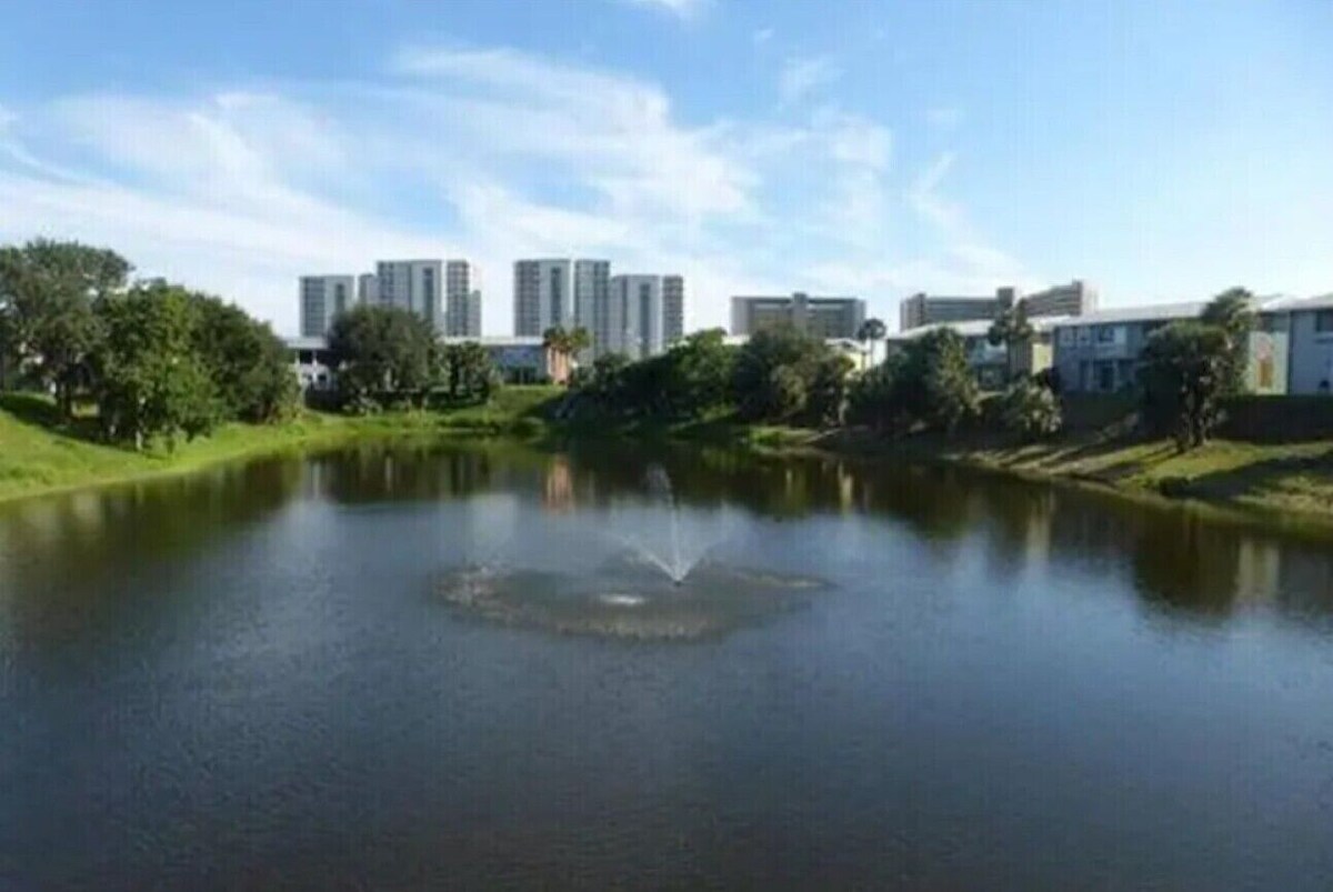 Photo 20 of ❤ Turtles Nest 🏖 Mins to the Beach☀ Family Condo❤