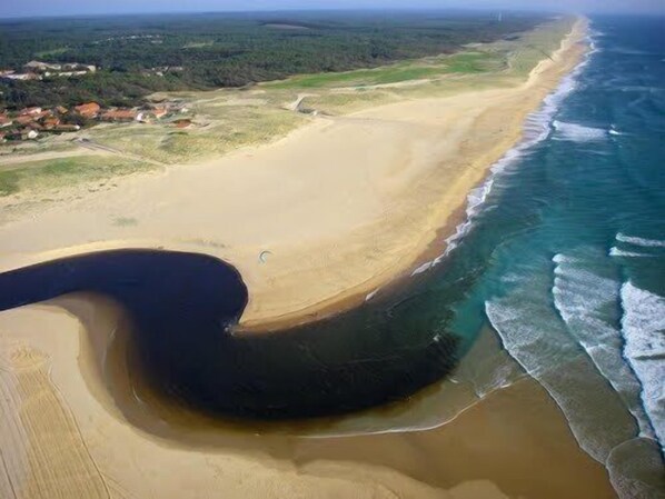 In StrandnĂ€he, LiegestĂŒhle