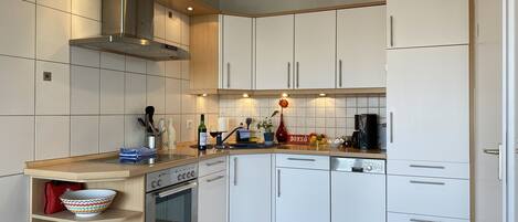 Fridge, oven, stovetop, dishwasher