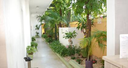 Quiet and comfortable apartment in the center