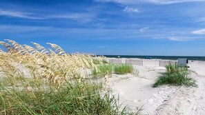 On the beach, sun loungers - Beachy chic, steps from the beach! (Hilton Head Island)