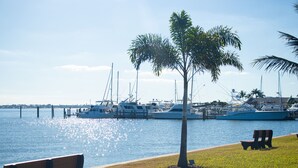 A marina with boats docked, a palm tree, and a bench by the water.