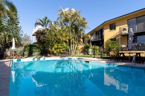 Pool - Sunlit Studio mins from Beach w/t Secluded Pool. (Mona Vale)
